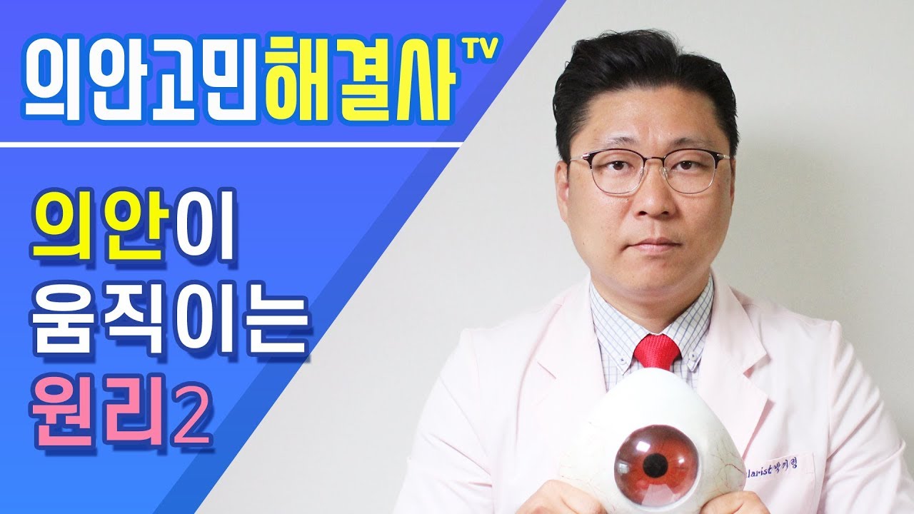 첫 의안 사용자를 위한 안내서 의안이 움직이는 원리 2 의안이 움직이는 범위 Artificial Eyes