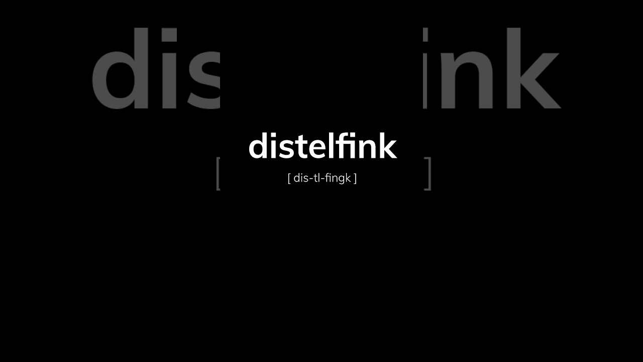 How to Pronounce Distelfink 