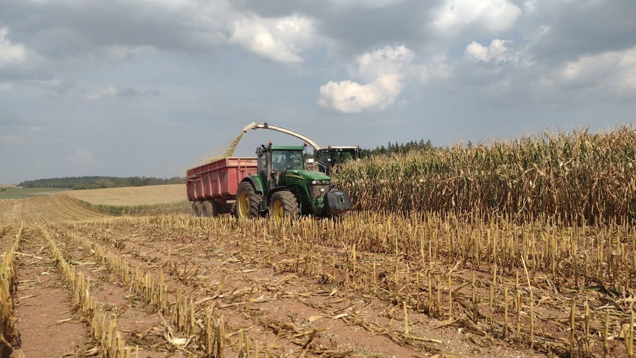 Siláže 2024 s Claas Jaguar 930, Tatra, JD 7820, Case IH 1190 cvx