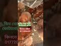 egg incubator machine ডিম থেকে বাচ্চা ফোটানোর মেশিন #ইনকিউবেটর #ইনকিউবেটরতৈরি #incubator