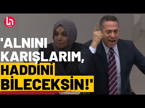 Ali Mahir Başarır çileden çıktı: Türk Bayrağına bez parçası diyemezsin!