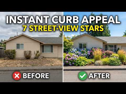 7 Plants That Make Your Garden Look Amazing From the Street! 🌸🏡 | Boost Instant Curb Appeal