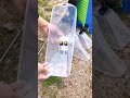 Special tool for spraying so that water doesn't splash everywhere #spraying #splash #shorts