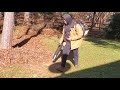 Review of the Echo pb8010 (the best backpack blower)