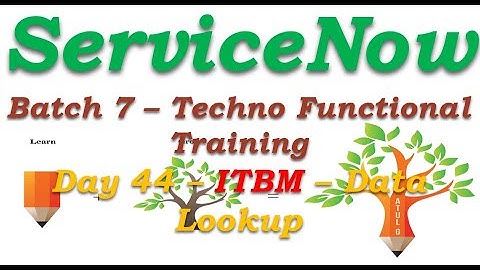 Batch 7 || Day 44 || Data Lookup -ITBM -Dictionary Override||Techno Functional Training || San Diego