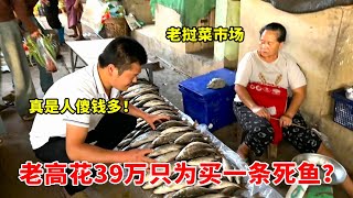 Celebrity 高手买一条死鱼竟然花了39万，真是人傻钱多！【高手在路上】 Net Worth