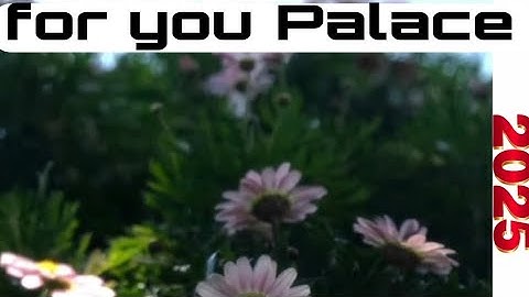 Những lời lẽ tiêu cực cũng chỉ là tiếng ồn"#xuhuong #flowers #fyp#drums #drummer 