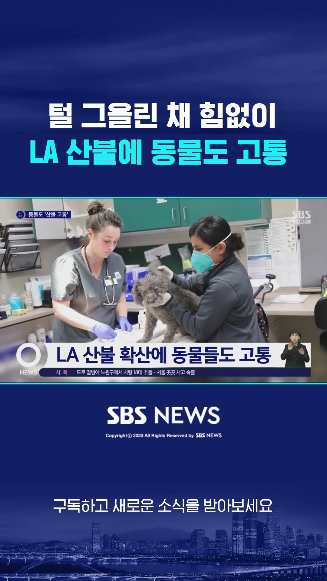 털 그을린 채 힘없이…LA 산불에 동물도 고통  #shorts