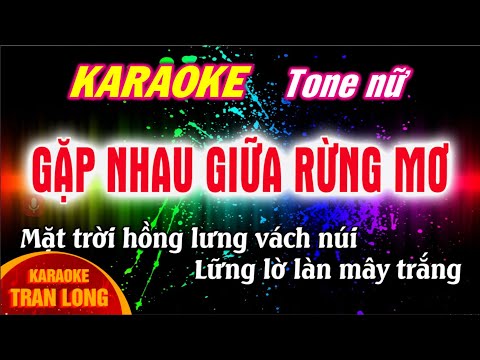 Karaoke Bài Hát Gặp Nhau Giữa Rừng Mơ - karaoke Gặp nhau giữa rừng mơ | Tone nữ | Tran Long