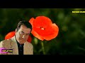 الامـيــــــر فـــــريـــد الاطـــــرش راح يــجي يــــــــوم وتــــحـبــيــنـــــي 
