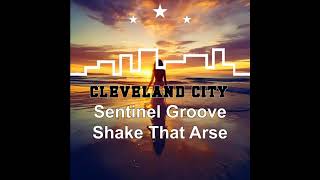 Sentinel Groove - Shake That Arse (Original Mix) - YouTube