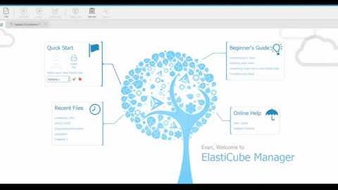 Create an Elasticube Schema