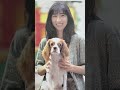 女優より美人な岡村孝子 18 - 11 More Beautiful Woman Than Actress ☆Takako Okamura