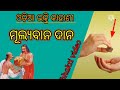 Odia bhakti kahani    