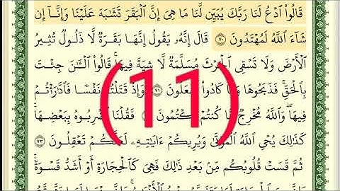 سوره البقرة رقم الصفحة 11 مجود بصوت القارئ الشيخ أيمن سويد حفظه الله