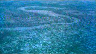 April 1974 Monticello, Indiana Tornado Aftermath | WLFI TV