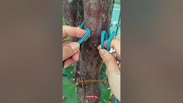 Knot skill with rope #shorts #knot #git #rope #diy