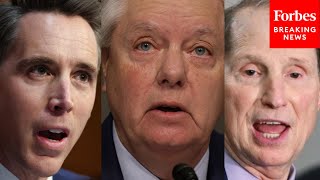 Información Senators Debate Online Child Safety And Privacy Legislation Noticias