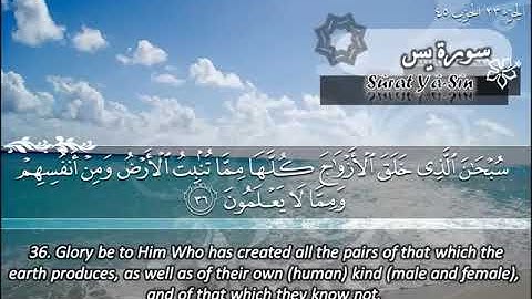 تلاوة خاشعة بصوت الشيخ ماهر المعيقلي/سوره يس 🤍 | راحة وطمأنينه #قرآن #quran #اكسبلور