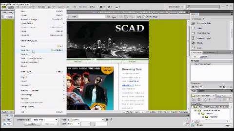 Newsletter_part2.wmv
