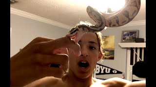 My Pet Snake Tries to EAT my FINGER!!! by Tyson's Wilderness 21,110 views 2 years ago 5 minutes, 51 seconds