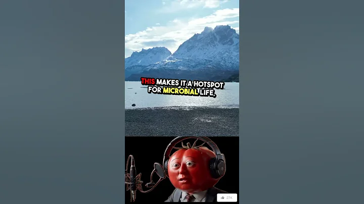 The World's Saltiest Lake: Antarctica's Don Juan Pond That Never Freezes #shorts