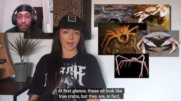Is CRAB the Final Form???🦀