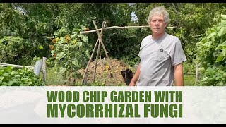 Wood Chip Garden with Mycorrhizal Fungi - Back to Eden Garden