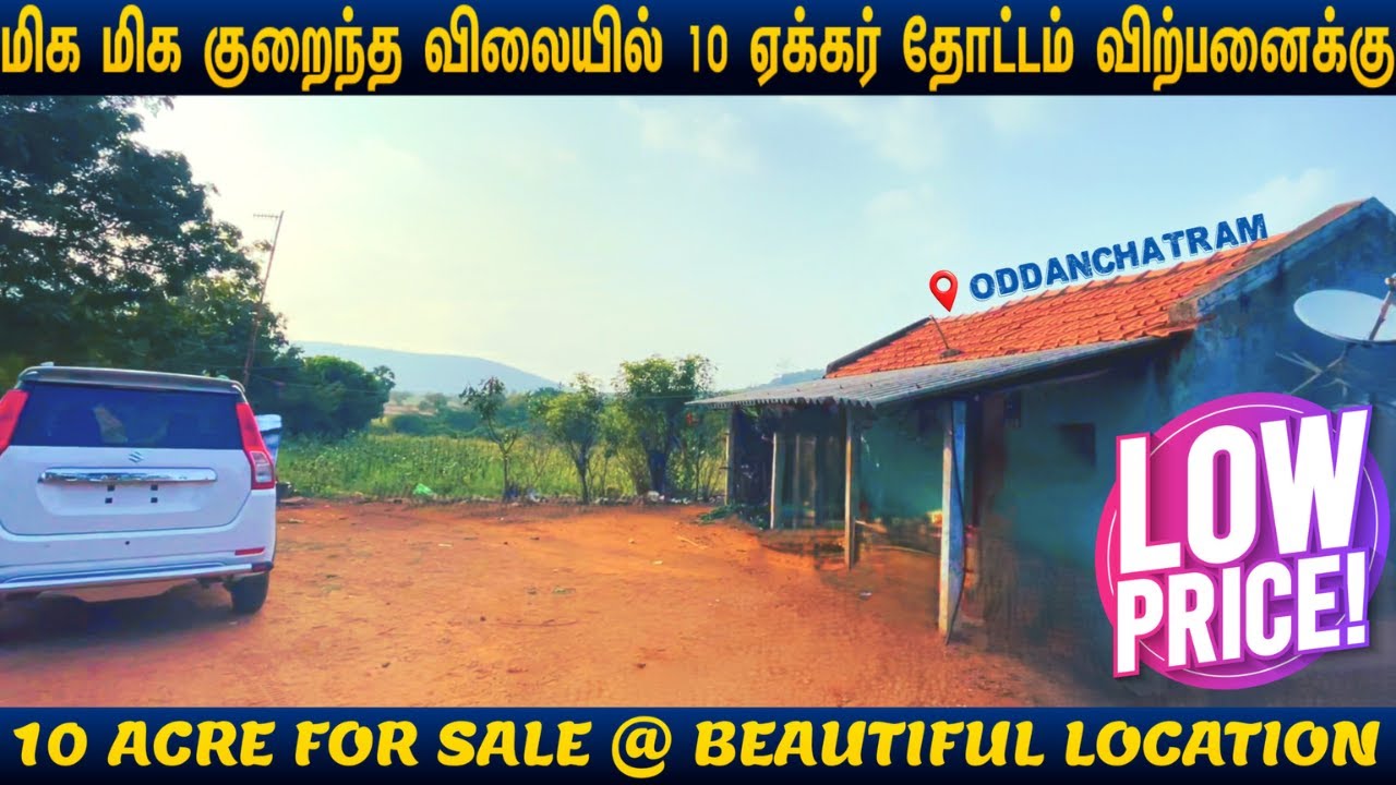 🌴10 ஏக்கர் நிலம் விற்பனைக்கு |🌳10 ACRE FOR SALE#beautifullocation #landforsale #oddanchatram