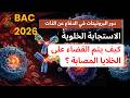 كيف تتم الاستجابة المناعية الخلوية؟ (شرح مبسط) #bac