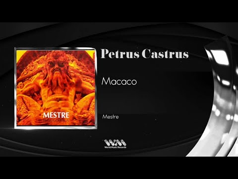 Macaco Mestre