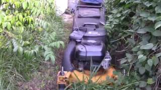 Mowing & bagging some tall grass and weeds - Cub Cadet SRC 621 push mowing!