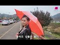 우리 같이 우산 쓸까요 사랑이 비를 맞아요 가수 유화 원곡 배금성 우리 같이 우산 쓸까요 사랑이 비를 맞아요 가수 유화 원곡 배금성