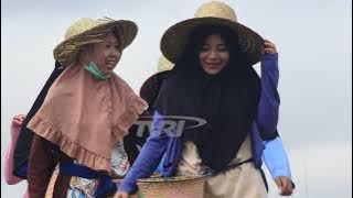 CABE HIYUNG ,INDONESIA MEMBANGUN TVRI KALSEL