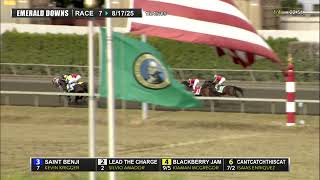 2025 WTBOA Lads Stakes