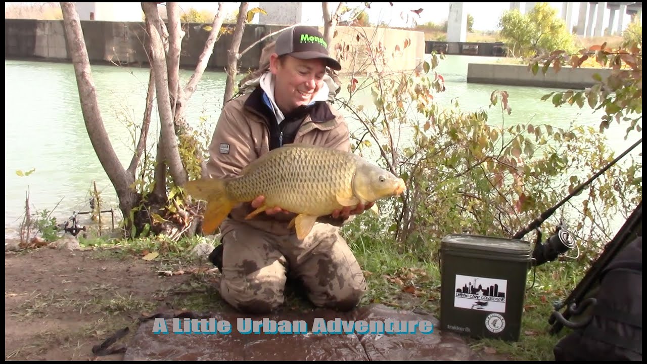 A Little Urban Carp Adventure