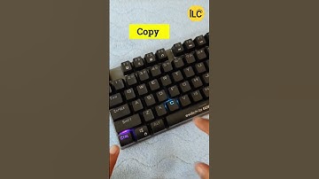 Basics tricks of MS Word💻#learning coder#short video#viral short#pc#laptop#computer#trending short💻👍
