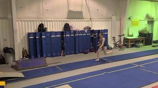 front handspring front onto two mats