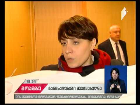 „ევროპული საქართველოს“ პროტესტი პარლამენტის პლენარულ სხდომაზე