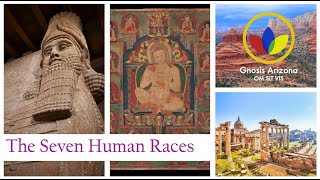 The Seven Human Races