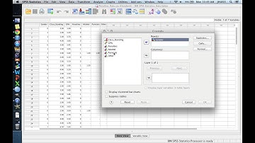 SPSS 2 4 Cross-Tabulation Tables