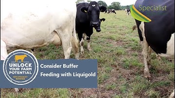 Consider Buffer Feeding with Liquigold