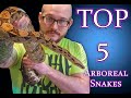 Top 5 BEST Arboreal and Semi Arboreal Pet Snakes