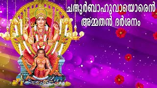 ചതുർബാഹുവായോരമ്മ | Devotional Malayalam New Song | Devi song | Hindu Devotional Songs