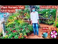 Plant Nursery Visit | Cheapest Plant Nursery | Plant Price with Names | Ashok Nursery, Navi Mumbai