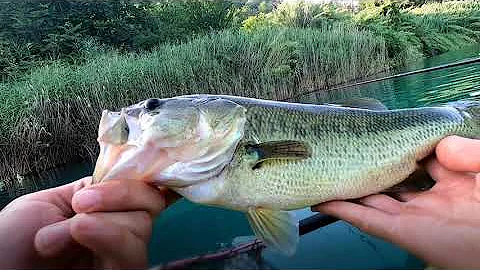 Cosa serve per pescare al lago di Nemi?