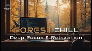 Forest Chill — Focus Beats for Work & Coding