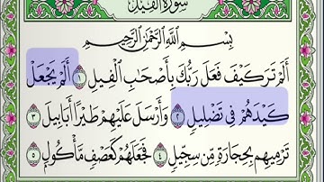 تلاوة عطرة لسورة الفيل مع القارئ أحمد خضر الطرابلسي