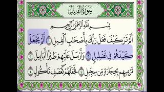 تلاوة عطرة لسورة الفيل مع القارئ أحمد خضر الطرابلسي