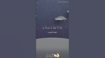 الشيخ سعد الغامدي سورة الكافرون تلاوة خاشعه
